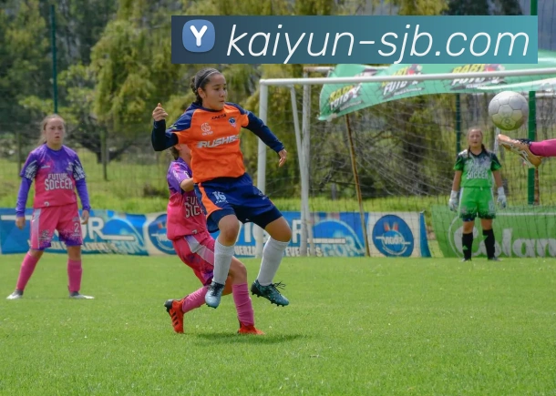 开云官方，开云官方，开云官网，开云游戏平台，开云官方APP品牌故事